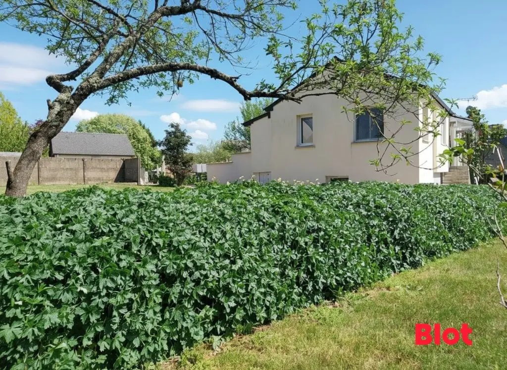 Maison à vendre, 66m², Teillay