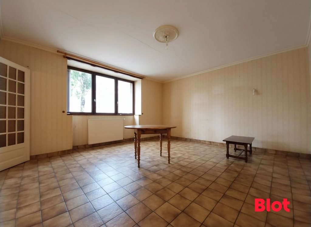 Maison à vendre, 196m², Lusanger