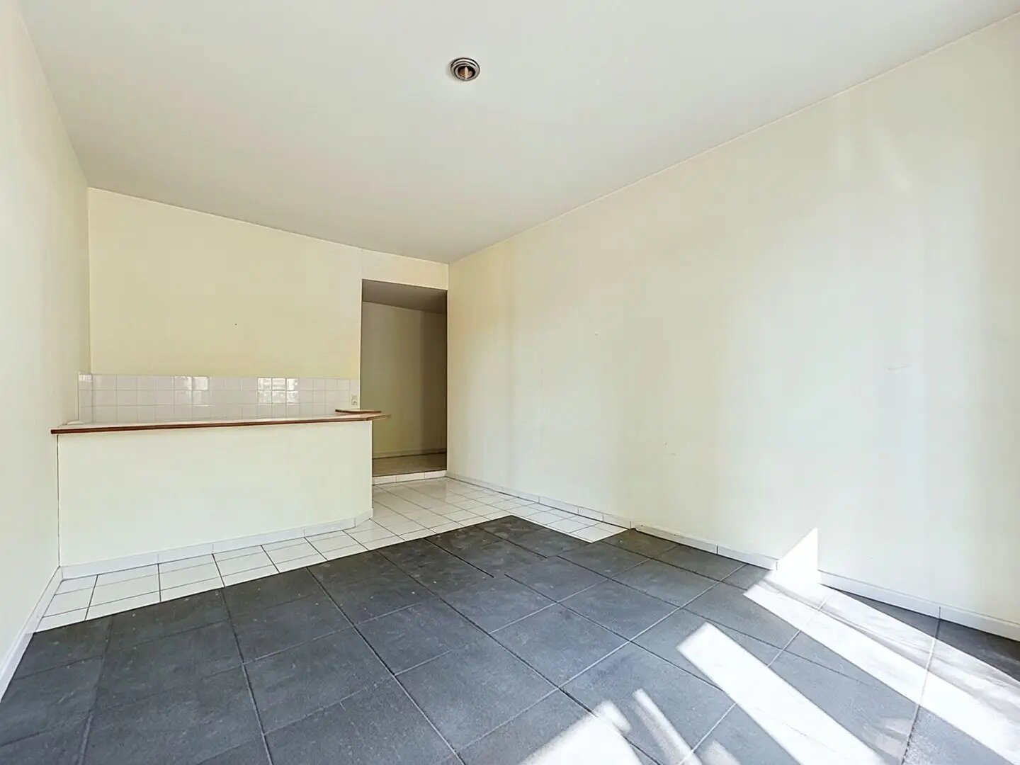 Appartement à vendre, 32m², Lyon 7ème