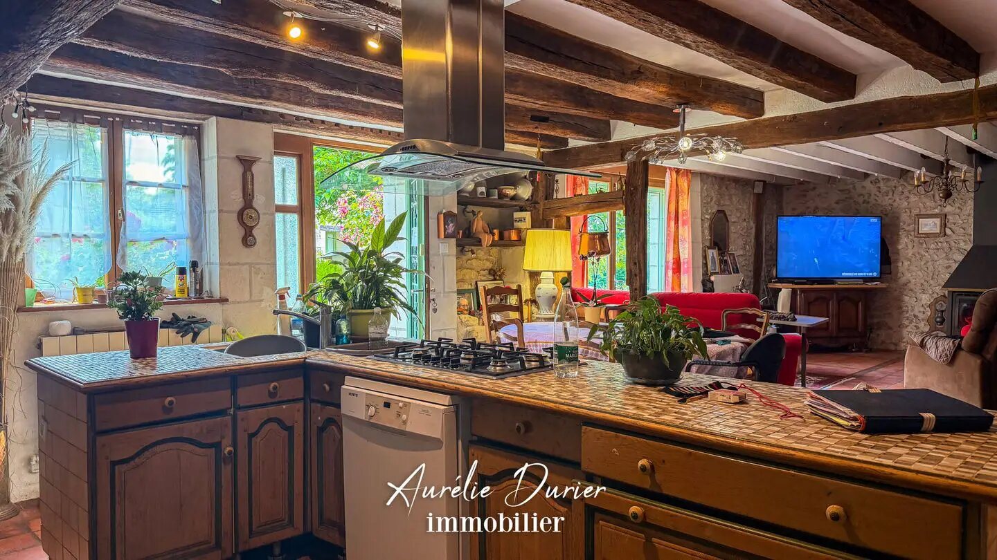 Maison à vendre, 275m², Chanceaux-sur-Choisille