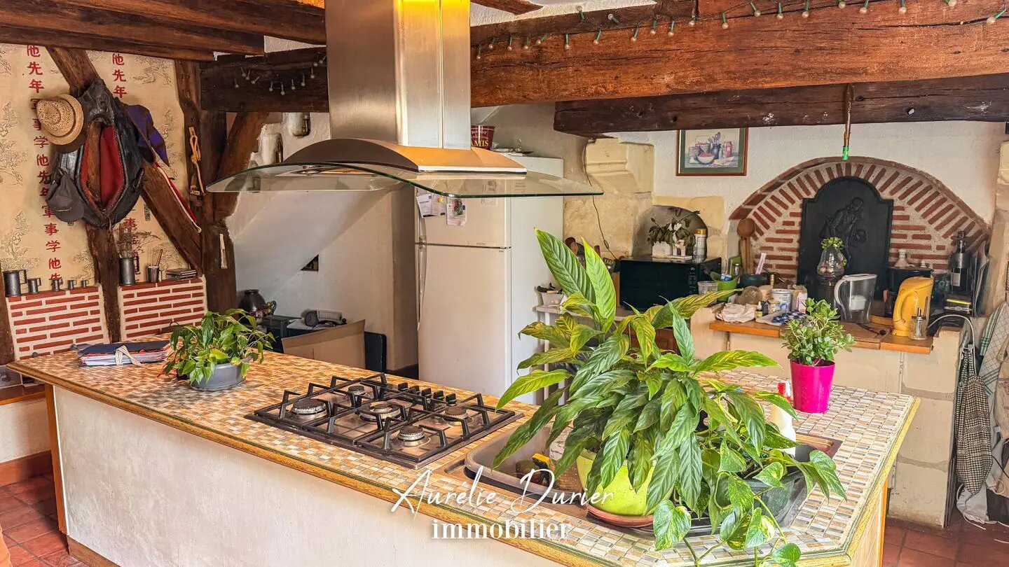 Maison à vendre, 275m², Chanceaux-sur-Choisille