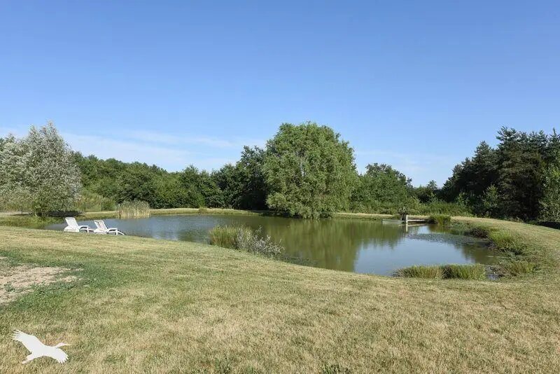 Maison à vendre, 231m², Fontaines-en-Sologne