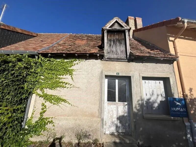 Maison à vendre, 60m², Thevet-Saint-Julien