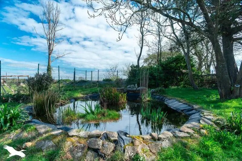 Maison à vendre, 250m², Goulien
