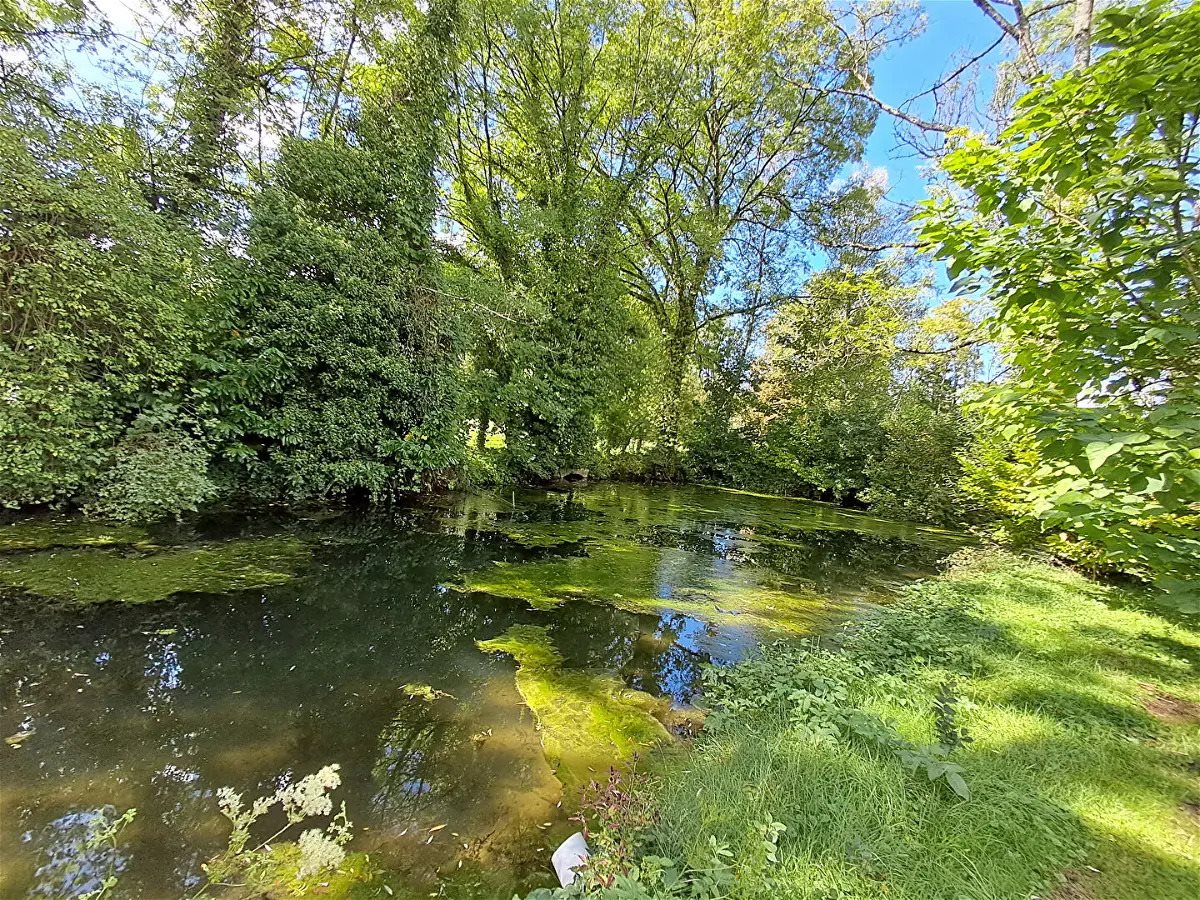 Maison à vendre, 288m², Rimaucourt