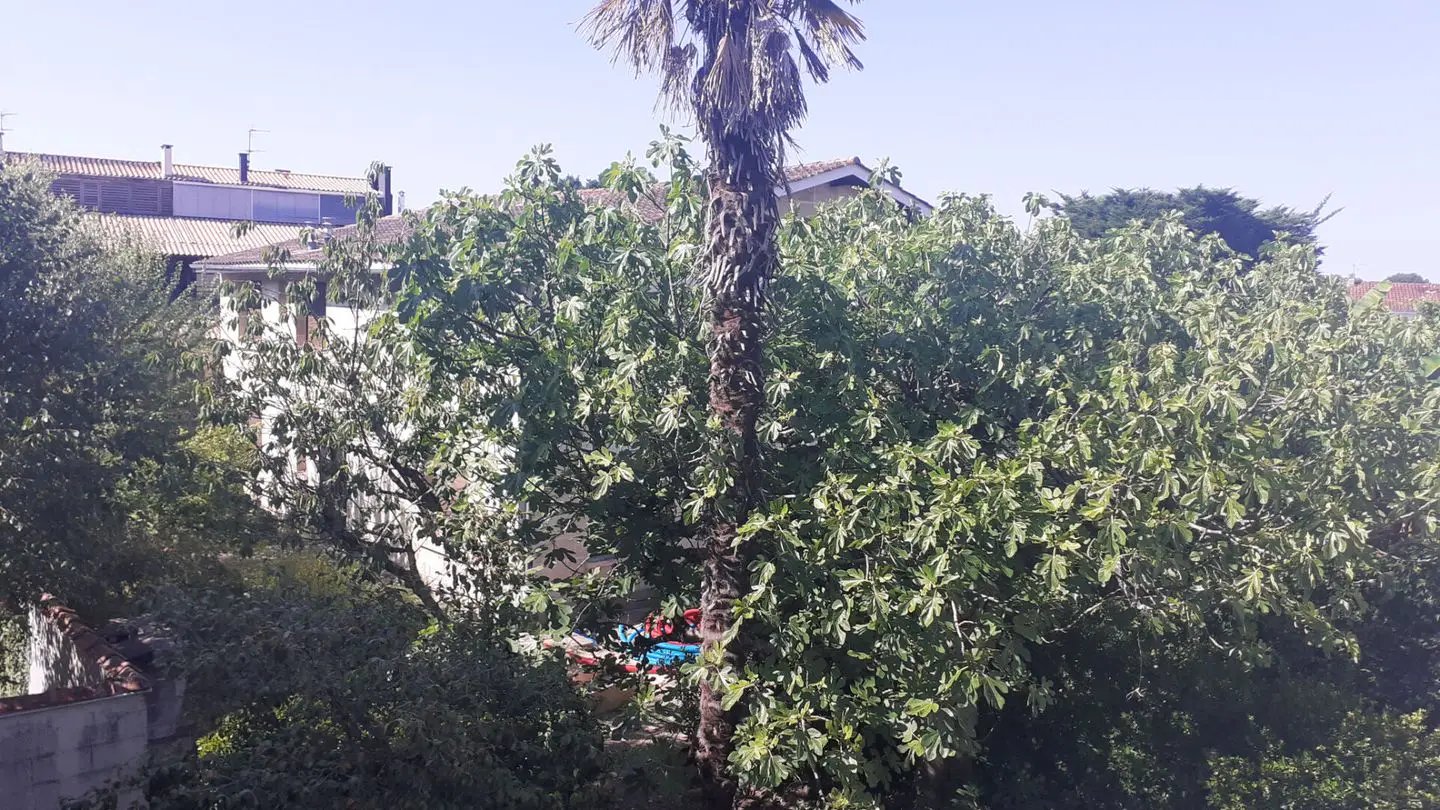Maison à vendre, 253m², Le Bouscat