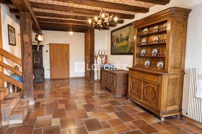 Maison à vendre, 385m², Entzheim