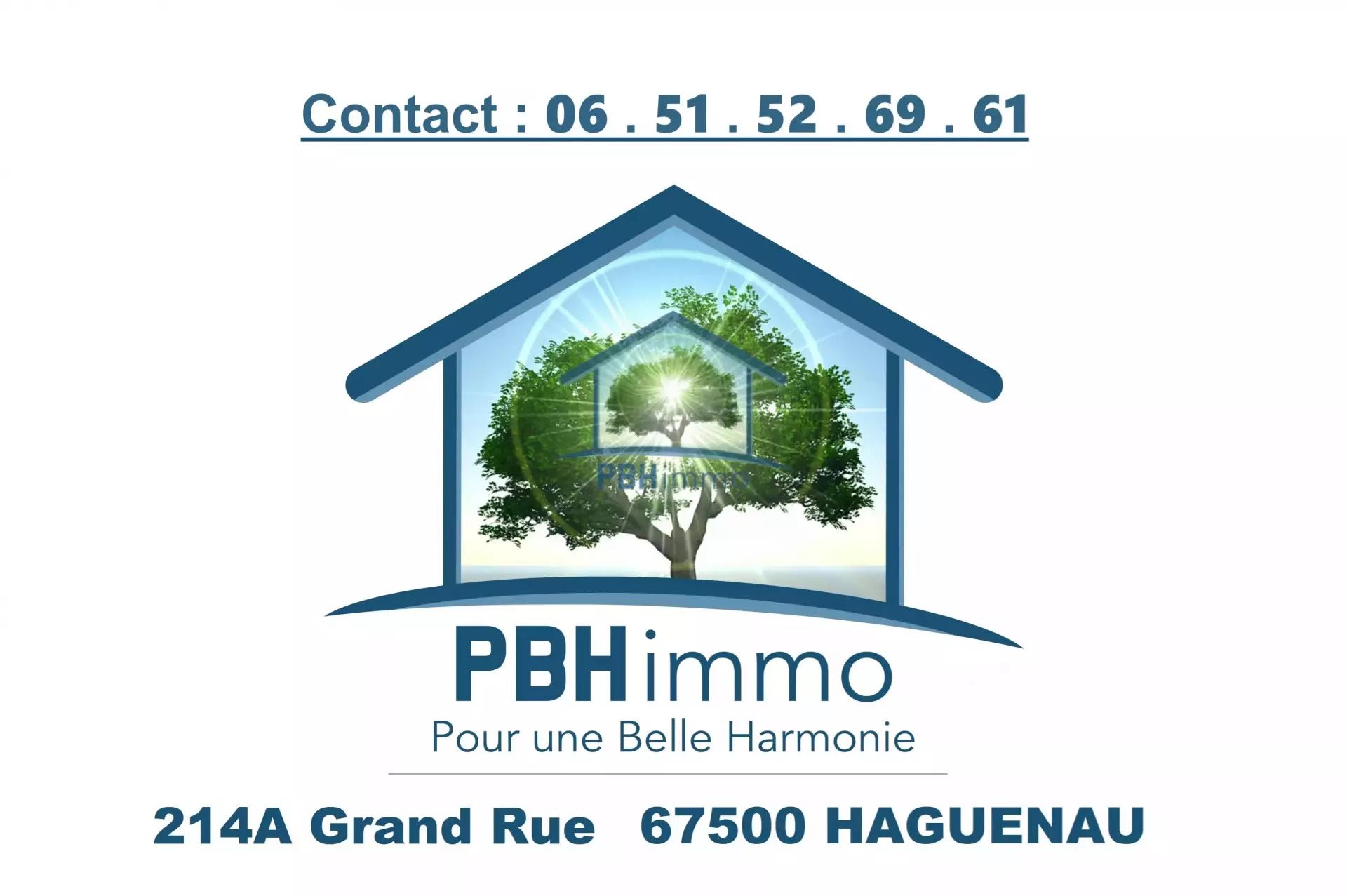 Maison à vendre, 145m², Mertzwiller