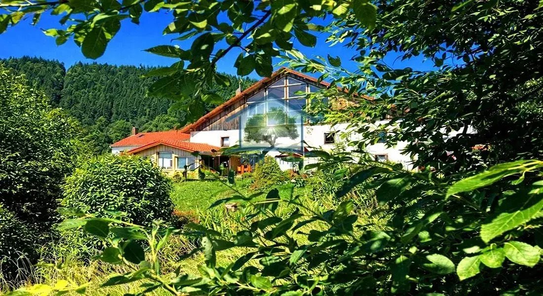 Maison à vendre, 670m², La Bresse