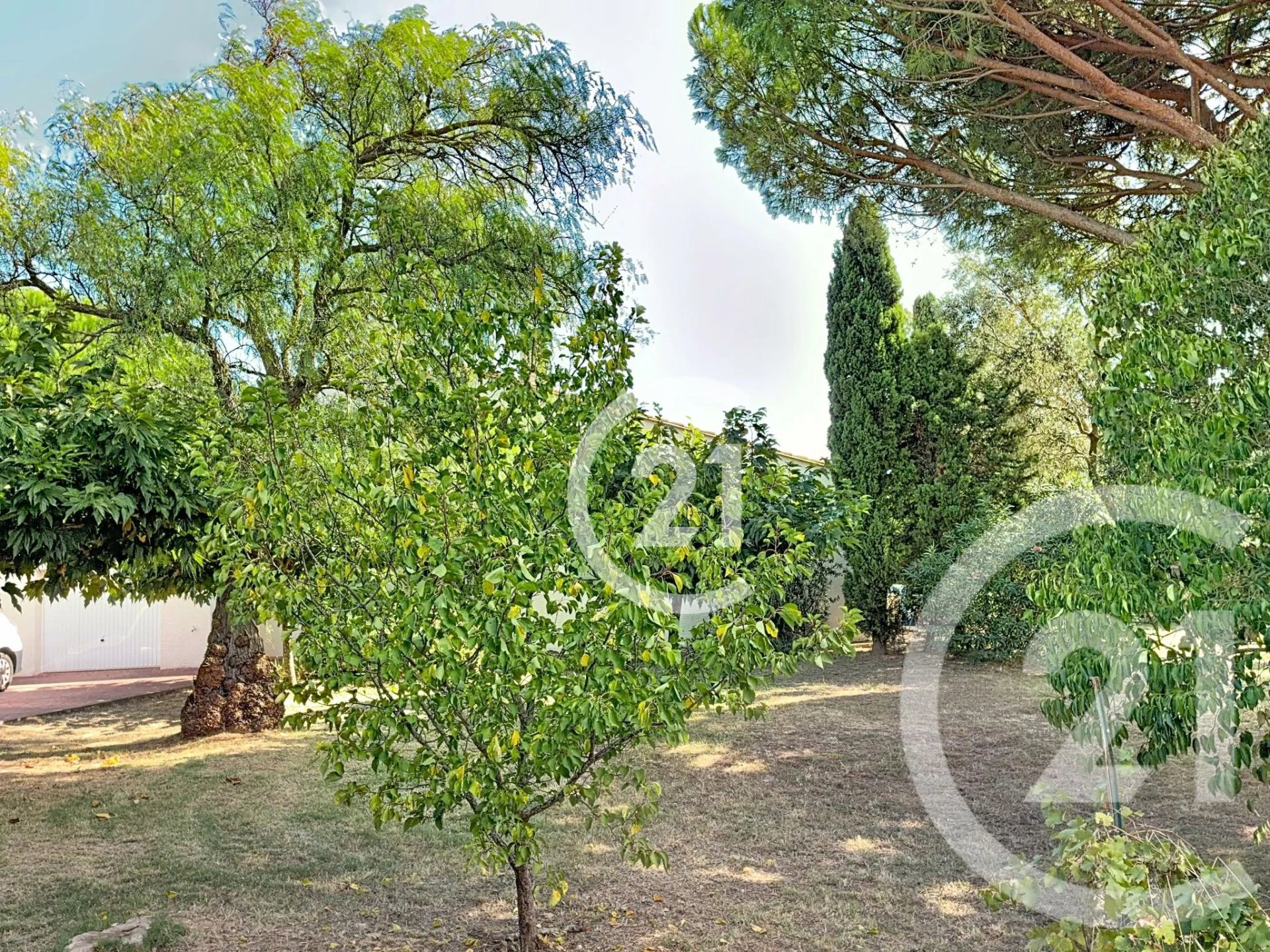 Maison à vendre, 140m², Montescot