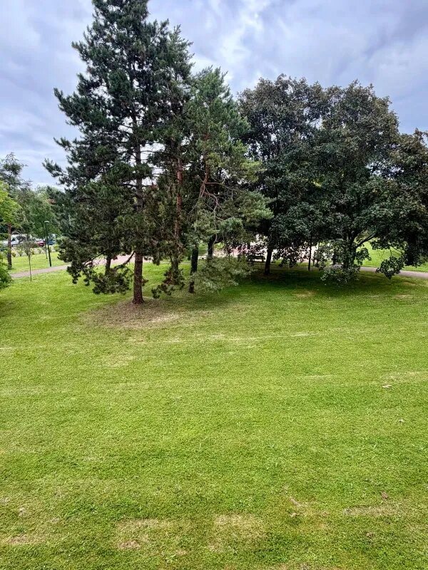 Appartement à vendre, 43m², Chennevières-sur-Marne