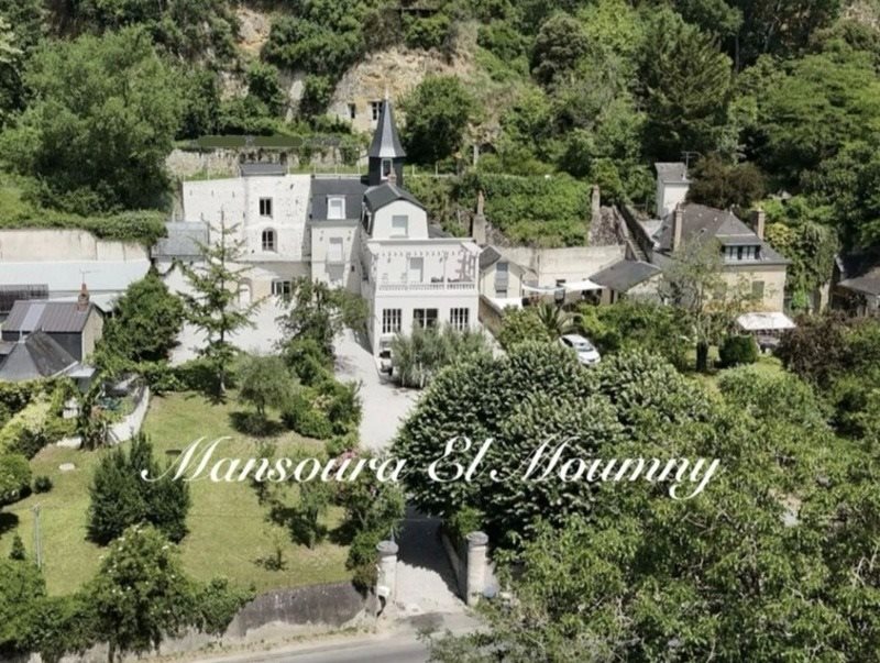 Maison à vendre, 400m², Rochecorbon