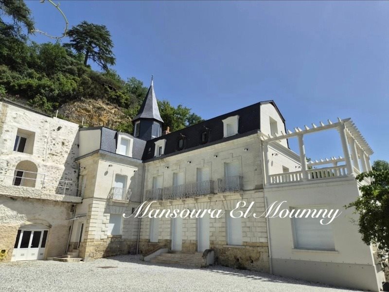 Maison à vendre, 400m², Rochecorbon