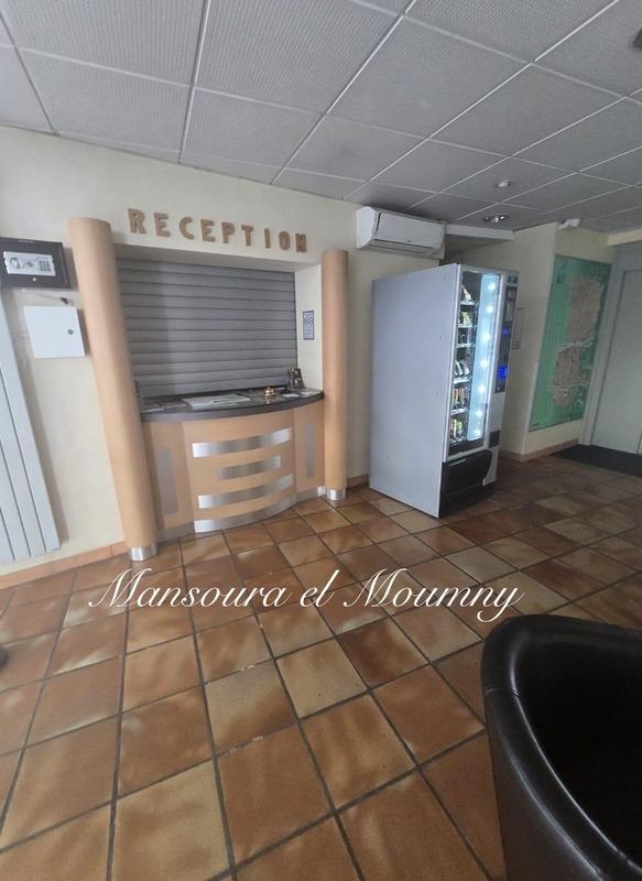 Maison à vendre, 600m², Tours