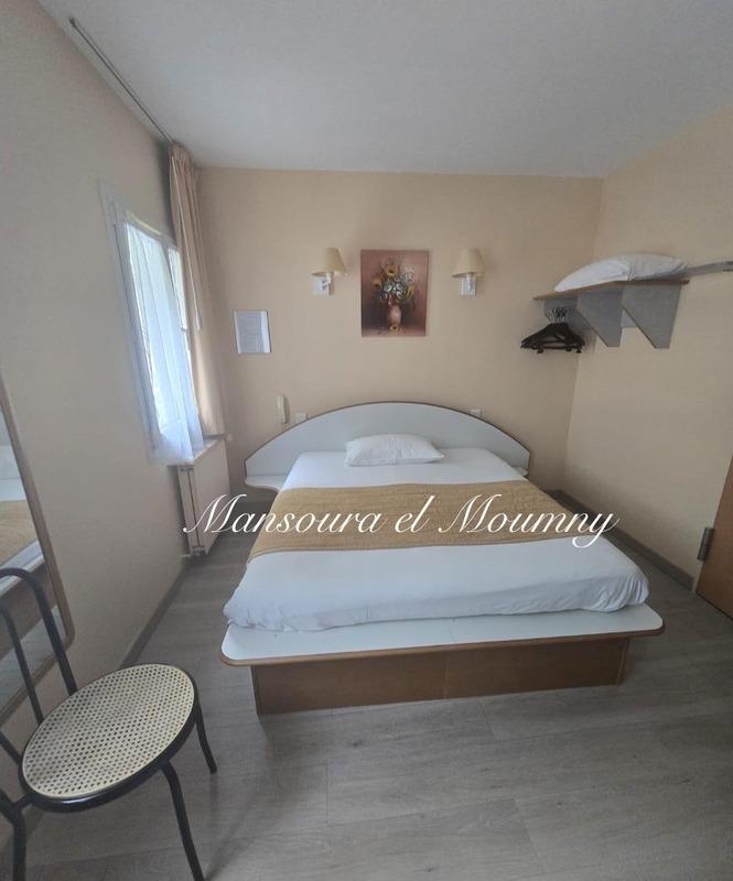 Maison à vendre, 600m², Tours