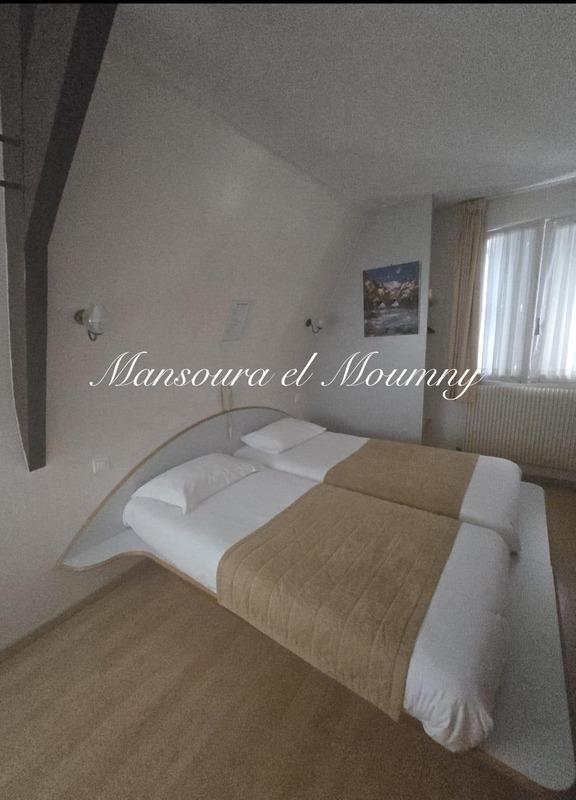 Maison à vendre, 600m², Tours