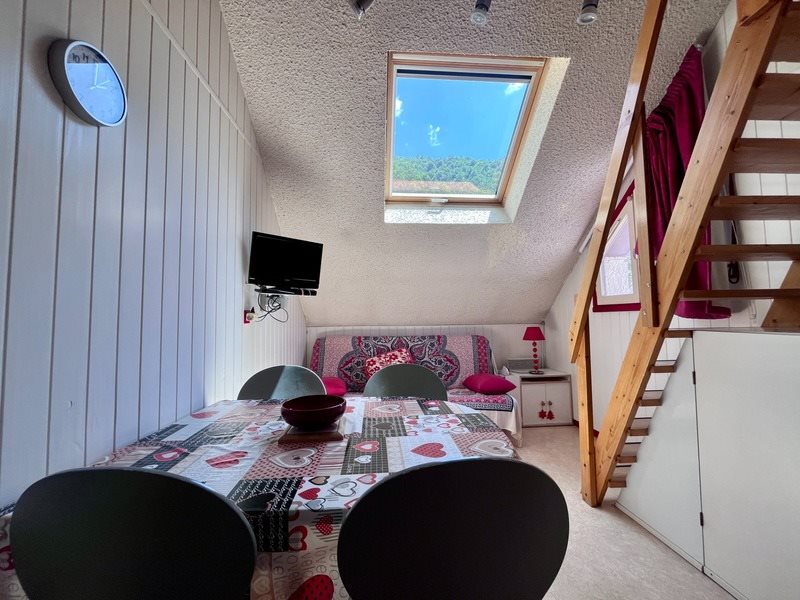 Appartement à vendre, 20m², Luz-Saint-Sauveur