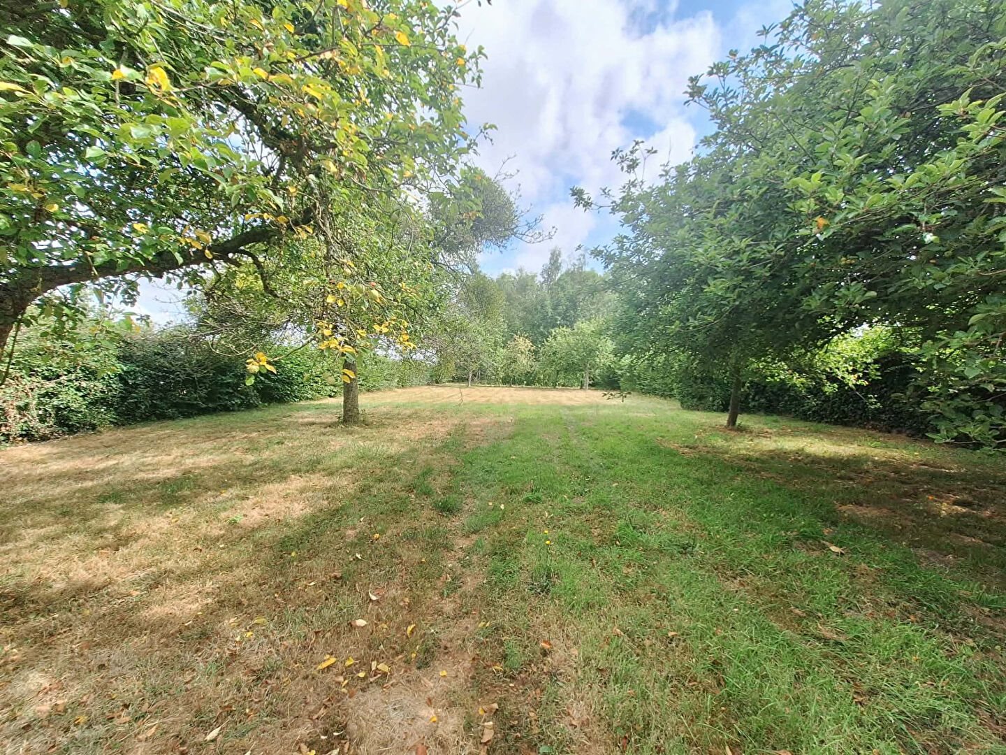 Maison à vendre, 96m², Vironchaux