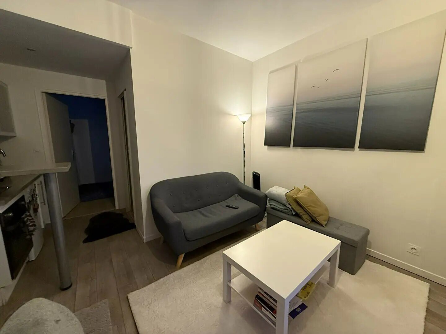 Appartement à vendre, 28m², Angers
