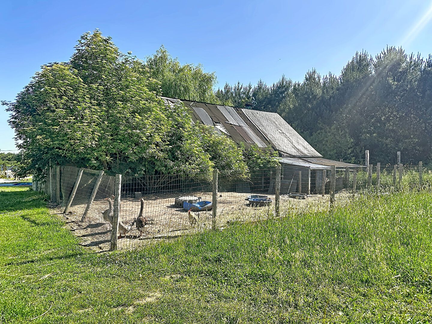 Maison à vendre, 150m², Longué-Jumelles