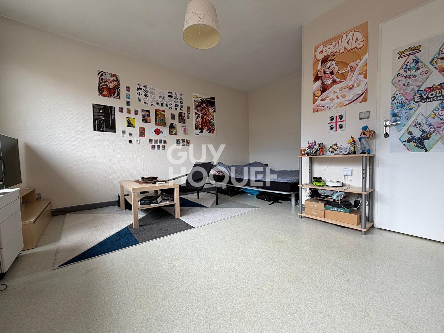 Appartement à vendre, 26m², Nancy