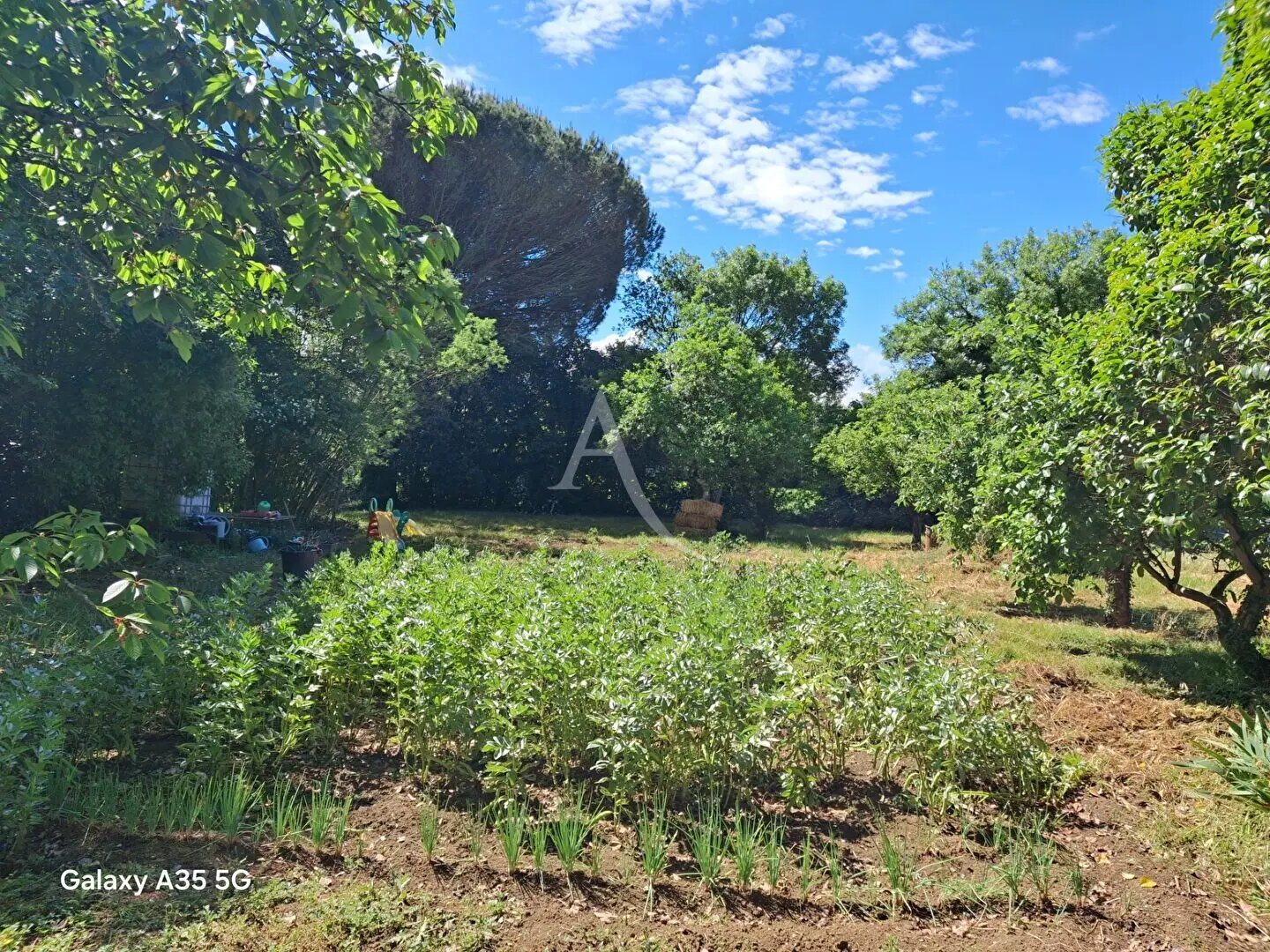 Maison à vendre, 113m², L'Isle-Jourdain