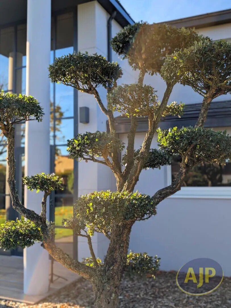 Maison à vendre, 394m², Legé