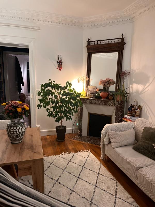 Appartement à vendre, 52m², Choisy-le-Roi