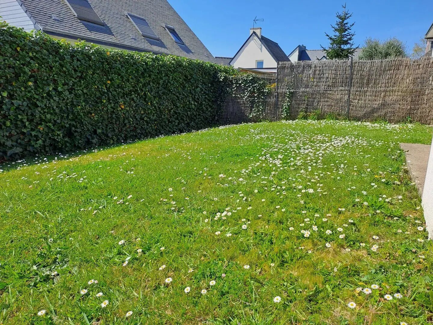 Maison à vendre, 100m², Baden