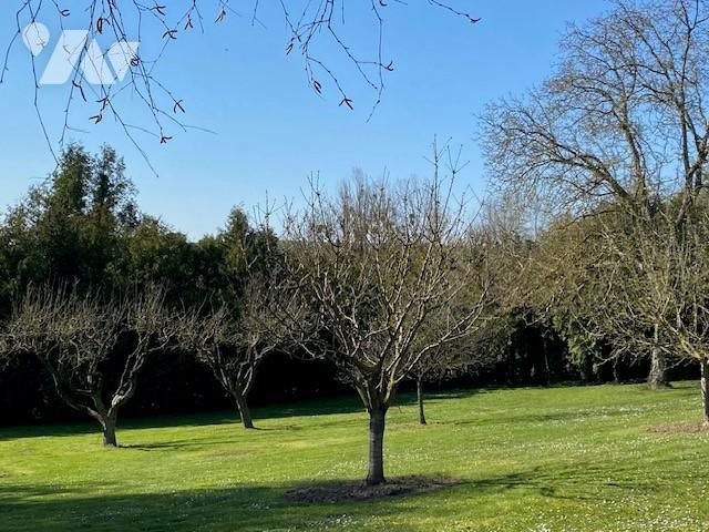 Maison à vendre, 61m², Montigny-sur-Vesle