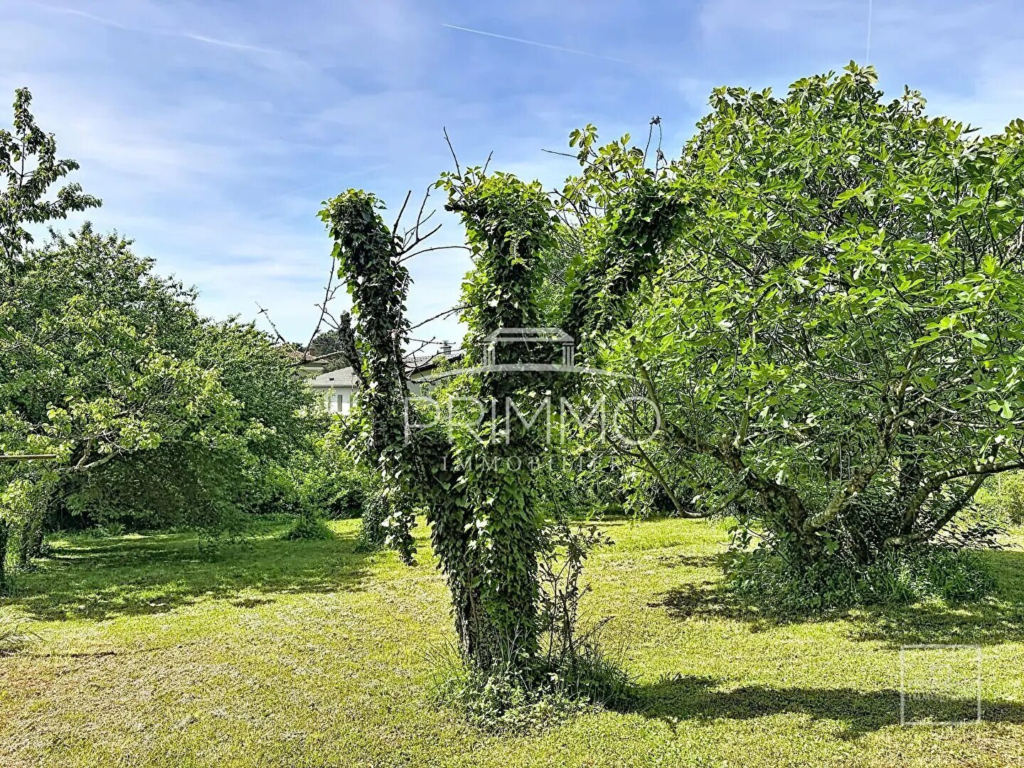 Maison à vendre, 264m², Saint-Cyr-au-Mont-d'Or