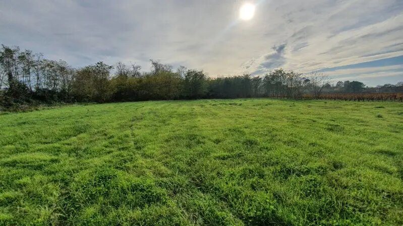 Maison à vendre, 180m², Lesparre-Médoc