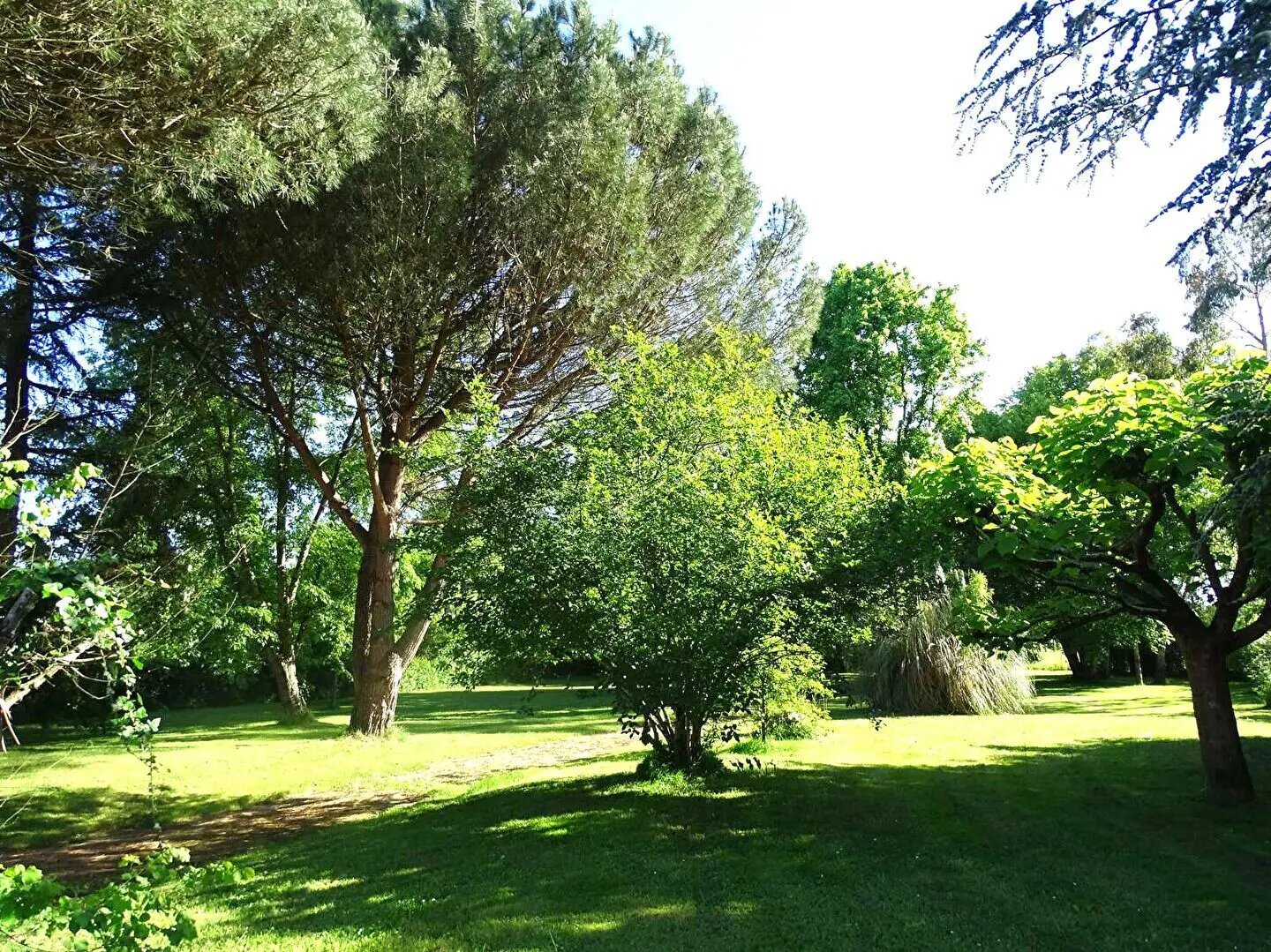 Maison à vendre, 220m², Saint-Front-de-Pradoux