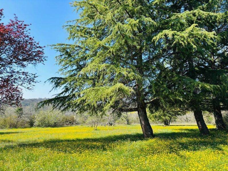 Maison à vendre, 185m², Les Farges