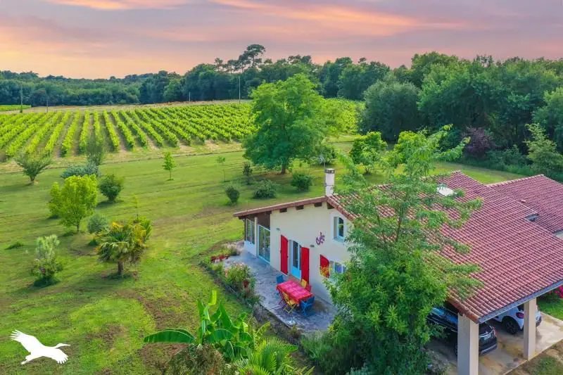 Maison à vendre, 203m², Toujouse
