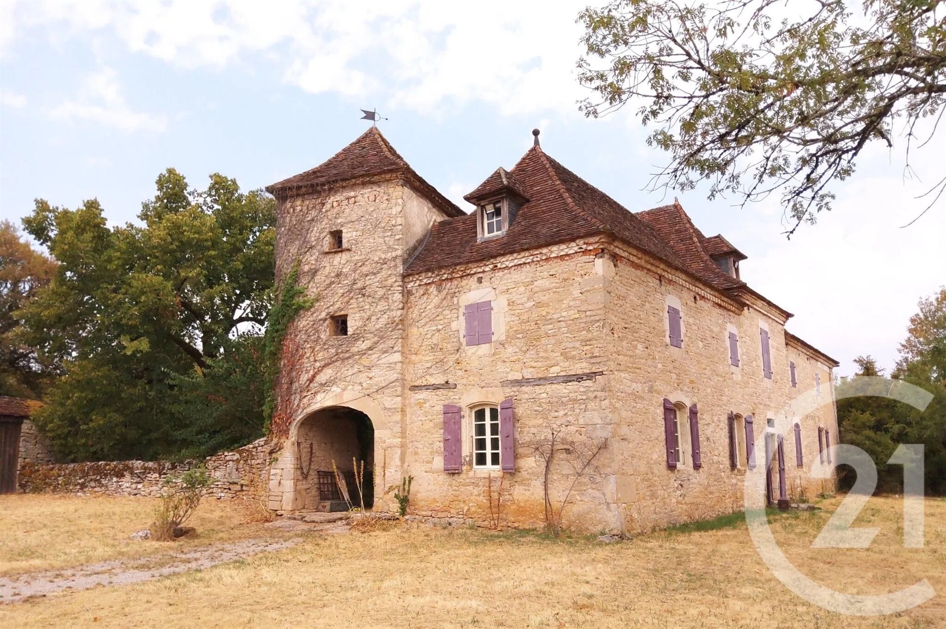 Maison à vendre, 313m², Montvalent
