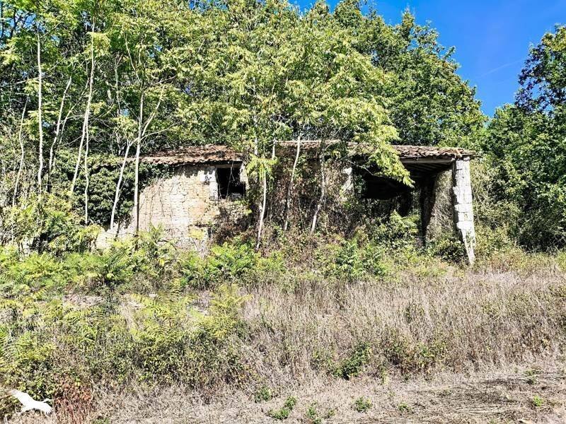Maison à vendre, 350m², Montlieu-la-Garde