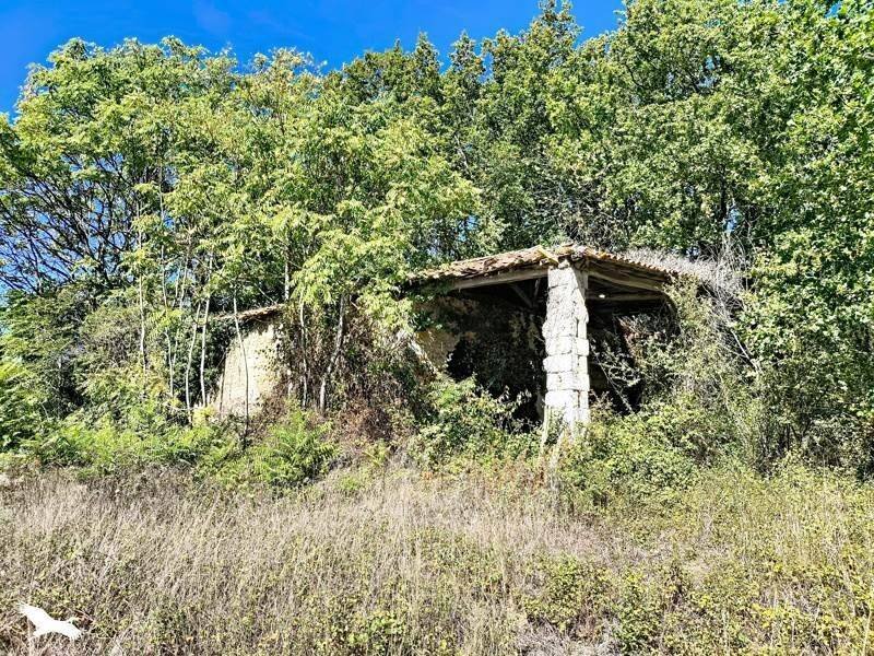 Maison à vendre, 350m², Montlieu-la-Garde