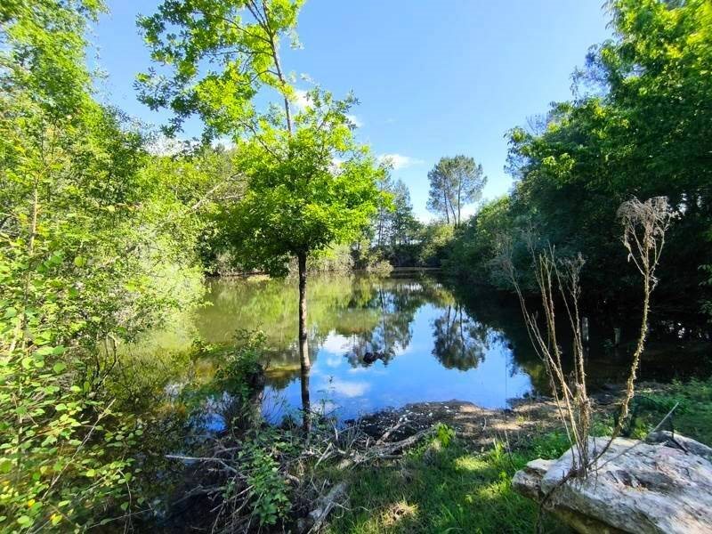 Maison à vendre, 183m², Montguyon