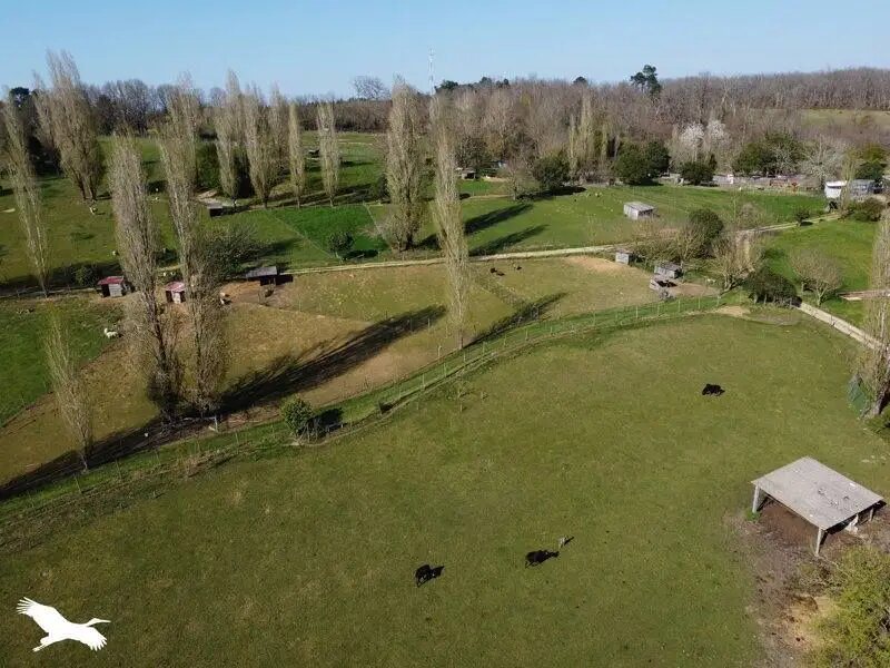 Maison à vendre, 100m², Campsegret