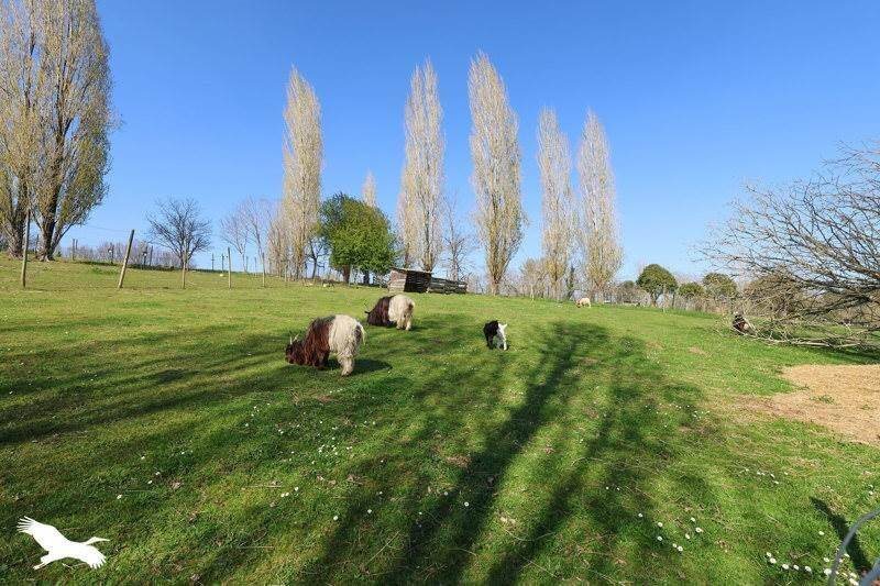 Maison à vendre, 100m², Campsegret