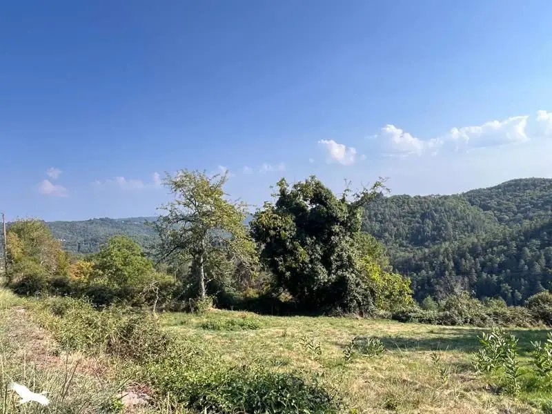 Maison à vendre, 90m², Saint-Bonnet-Elvert