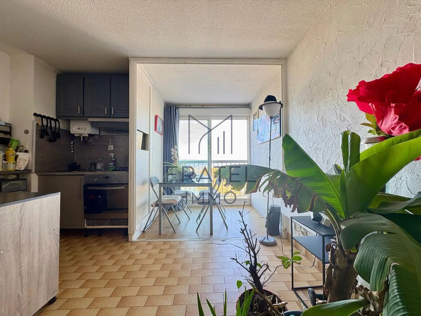 Appartement à vendre, 28m², Mauguio