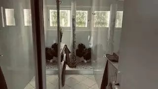 Appartement à vendre, 70m², Antibes