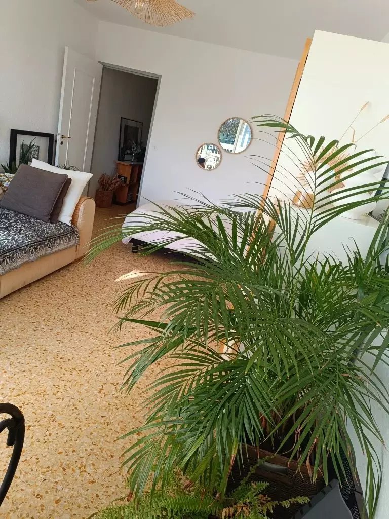 Maison à vendre, 30m², Antibes
