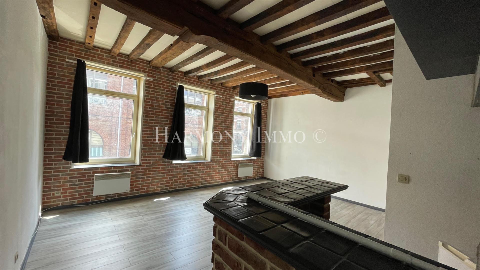 Appartement à vendre, 42m², Lille