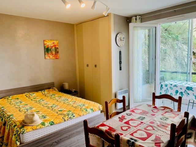 Appartement à vendre, 25m², Amélie-les-Bains-Palalda