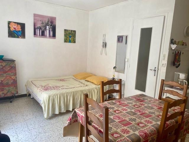 Appartement à vendre, 23m², Amélie-les-Bains-Palalda