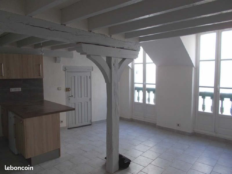 Appartement à louer, 55m², Blois