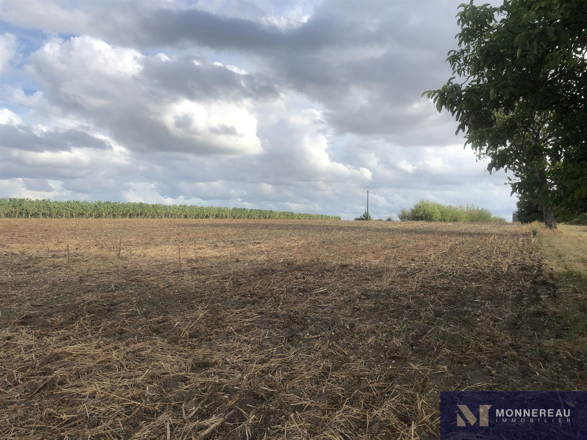 Maison à vendre, 4348m², Saint-Maigrin